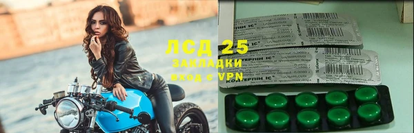 прущие грибы Богородицк