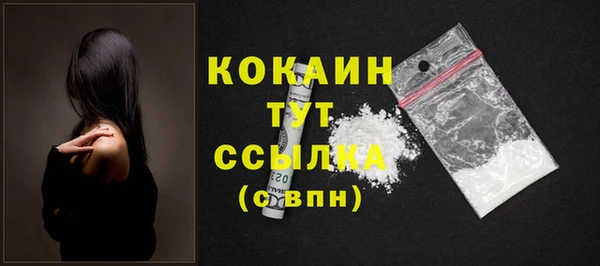 прущие грибы Богородицк