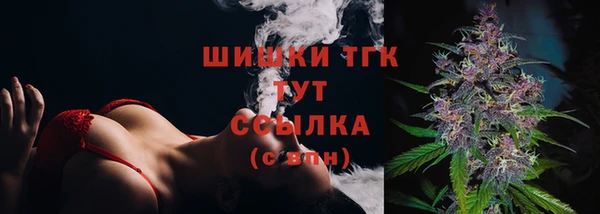 прущие грибы Богородицк