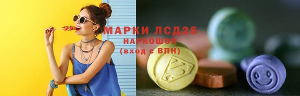 прущие грибы Богородицк