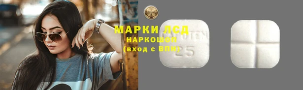прущие грибы Богородицк