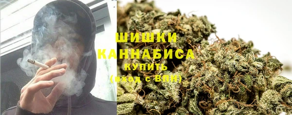 прущие грибы Богородицк