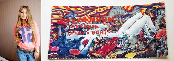 прущие грибы Богородицк