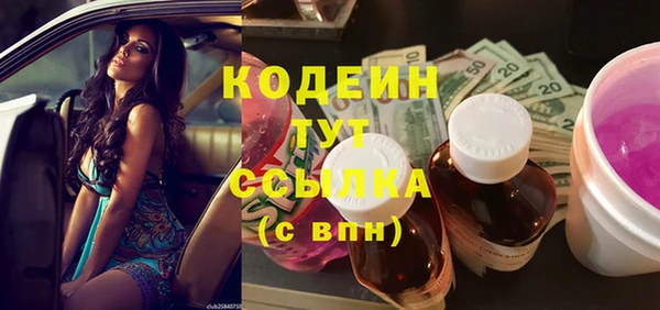 прущие грибы Богородицк