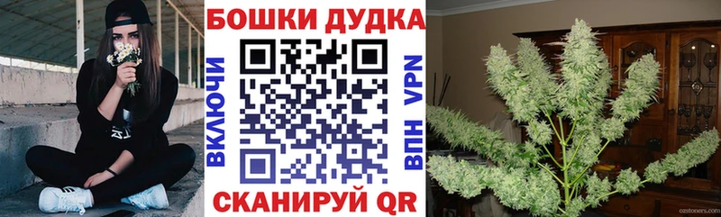 Купить где  Курск  Бошки Шишки сатива 